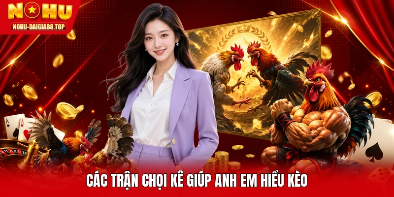 Các trận chọi kê giúp anh em hiểu kèo