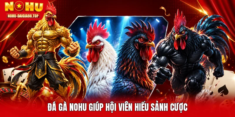Đá gà NOHU giúp hội viên hiểu sảnh cược